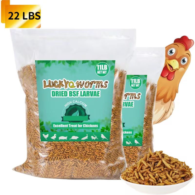 Dried Black Soldier Fly Larvae for Chickens Natural High Protein Pet Food High Calcium Dried BSFL for Hens Ducks Turtles Fish Lizards Hamsters Dried Insect Animal Feed
