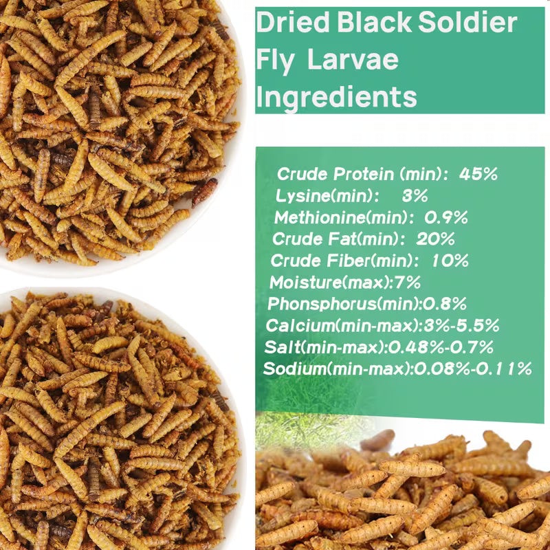Dried Black Soldier Fly Larvae for Chickens Natural High Protein Pet Food High Calcium Dried BSFL for Hens Ducks Turtles Fish Lizards Hamsters Dried Insect Animal Feed
