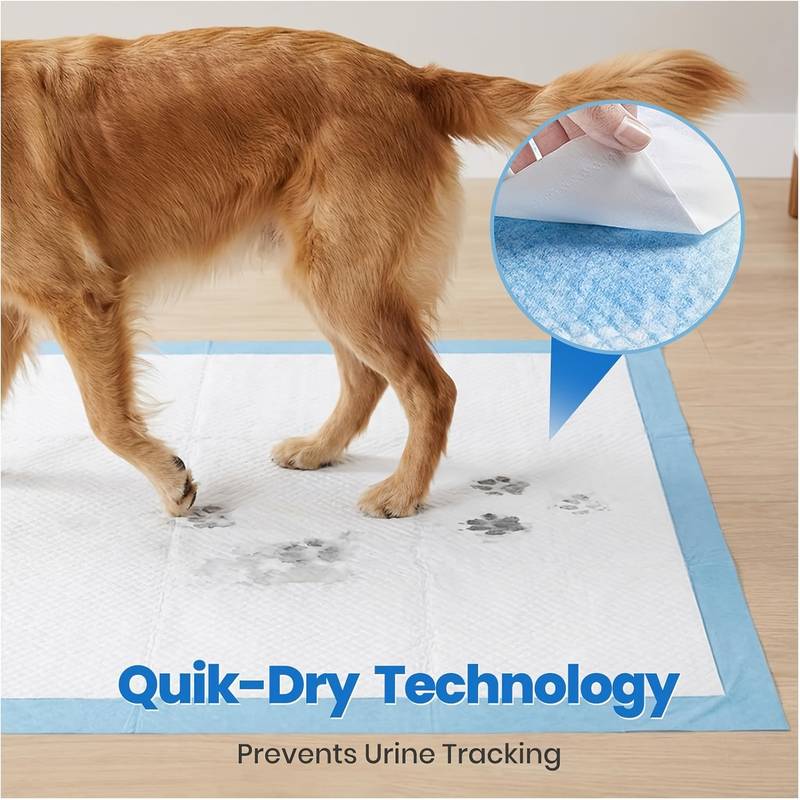 XXXL Dog Pee Pad (31X47/32X36/57x31 Inches) Thickened Super Absorbent And Leak-proof 8-layer Puppy Pee Pad, Disposable Potty Pad Dog Pee Pad Extra Large Suitable for Cars, Cages, Sofas, Alternative to Traditional Diapers, Adult Care Pad